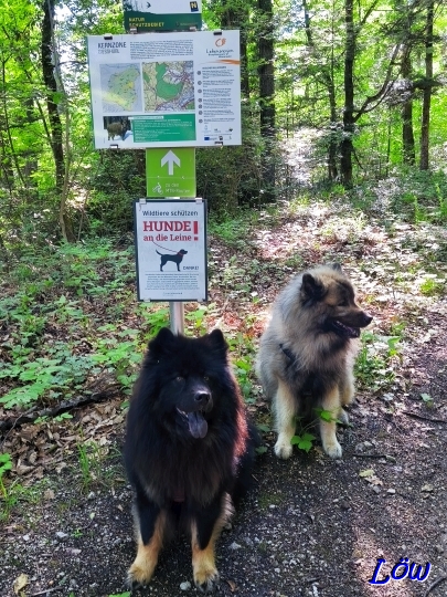 27.5.2025 - Bei den Autobahnwiesen